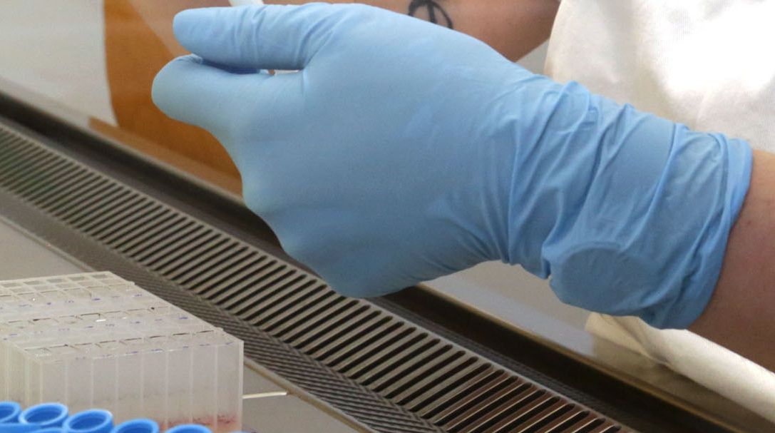 Laboratori Wellmicro®